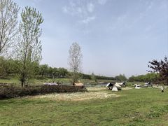 -洨河生态公园