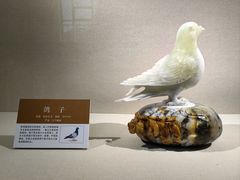 -大连自然博物馆
