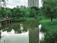 -沐仙湖湿地公园