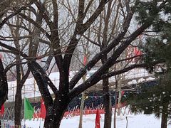 -北京亚布洛尼朝阳公园滑雪场
