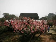 -雨花胜境