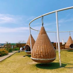 -小蜜蜂农场(凯德七宝购物广场店)