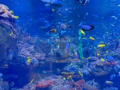 -海合安青岛极地海洋公园