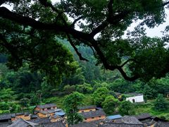-杨家堂村