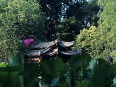 -莲湖公园