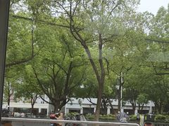-荣巷小馄饨(荣巷店)
