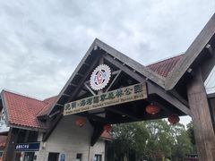 -上海海湾国家森林公园