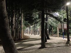 -大连理工大学(凌水校区)