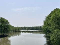 -上海海湾国家森林公园