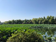 -长春市南湖公园