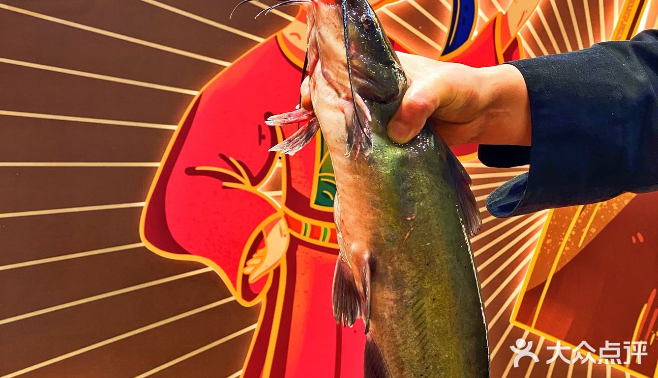 烤鱼里的白色炸弹⁉️我不能一个人上瘾‼️