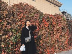 -呼家楼(地铁站)
