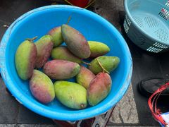 -港华水果街(港华广场店)