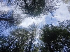 -四海公园(南山区)