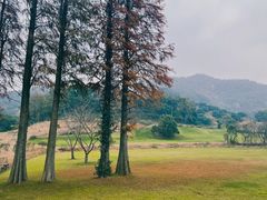 -东钱湖旅游度假区