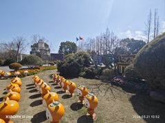 -上海长兴岛郊野公园