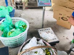 -马陆小张葡萄园农家乐