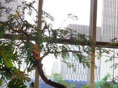 -海立阁海鲜江浙菜(漕河泾印象城店)