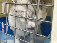 -爱派特动物医院·全科诊疗中心