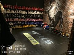 -威尔仕健身·游泳(KING88店)