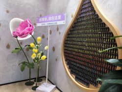 -dōTERRA多特瑞精油生活馆