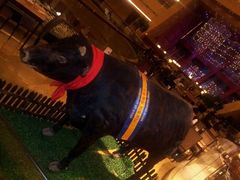 android_upload_pic-杭州国际会议中心洲际酒店-原素全日餐厅(解放东路店)