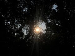 -榕江春·点心荟
