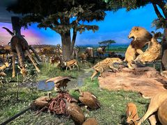 -国家自然博物馆