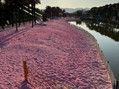 -苏州太湖西山岛开心农场