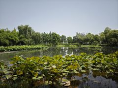 -金银湖国家城市湿地公园