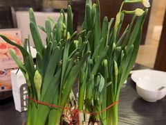 -汇华阁中餐厅·粤菜早茶(汇华希尔顿逸林酒店)