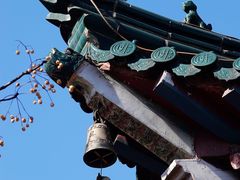 -焦山景区-万佛塔