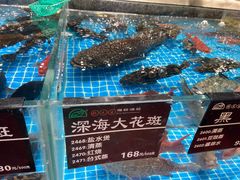 -苏先生海鲜渔庄(金桥店)
