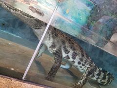 -成都浩海立方海洋公园