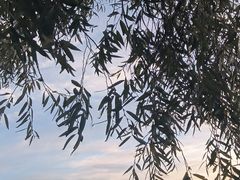-海埂大坝