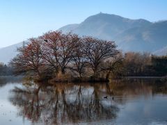 -西昌邛海湿地
