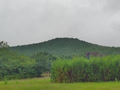 -秦始皇帝陵博物院(兵马俑)