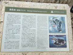 -濑长岛
