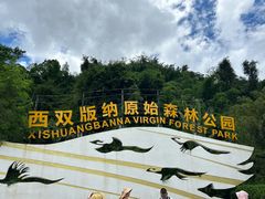 -西双版纳原始森林公园