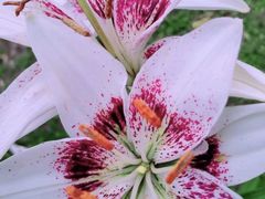 -长春公园(普阳街道)