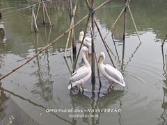 -长鹿旅游休博园
