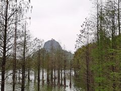 -南宁花花大世界景区