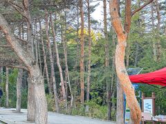 -帽儿山国家森林公园