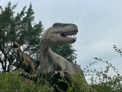 -自贡恐龙博物馆