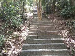 -梧桐山风景名胜区