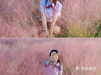 南京宝藏打卡地|江心洲的生态科技岛