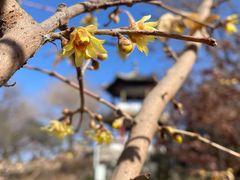 -莲花池公园