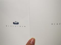 -BLACKSWAN黑天鹅(环球店)