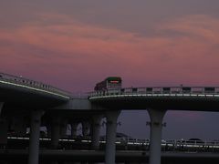 -溪岸路花鸟市场
