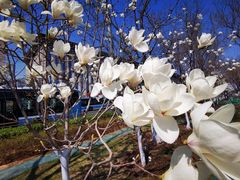 -北京稻香村(天桥乐汇百货商场店)